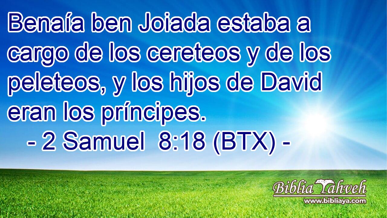 Benaía ben Joiada estaba a cargo de los cereteos y de los peleteos, y los hijos de David eran los príncipes.
