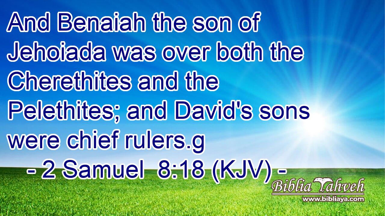 And Benaiah the son of Jehoiada was over both the Cherethites and the Pelethites; and David's sons were chief rulers.g