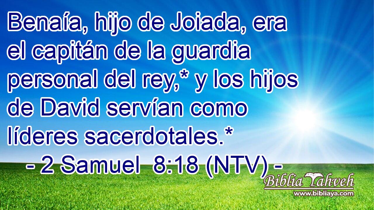 Benaía, hijo de Joiada, era el capitán de la guardia personal del rey,* y los hijos de David servían como líderes sacerdotales.*