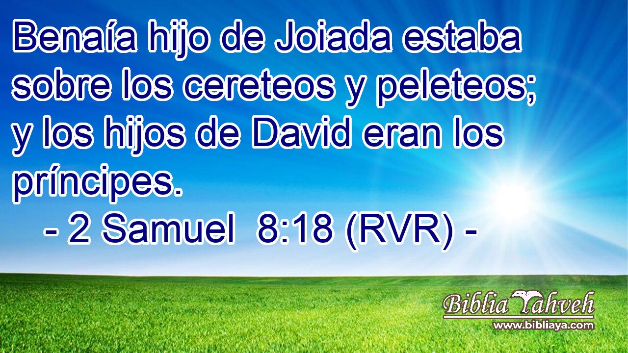 Benaía hijo de Joiada estaba sobre los cereteos y peleteos; y los hijos de David eran los príncipes.