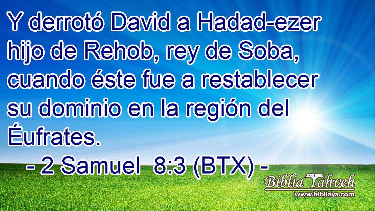 Y derrotó David a Hadad-ezer hijo de Rehob, rey de Soba, cuando éste fue a restablecer su dominio en la región del Éufrates.