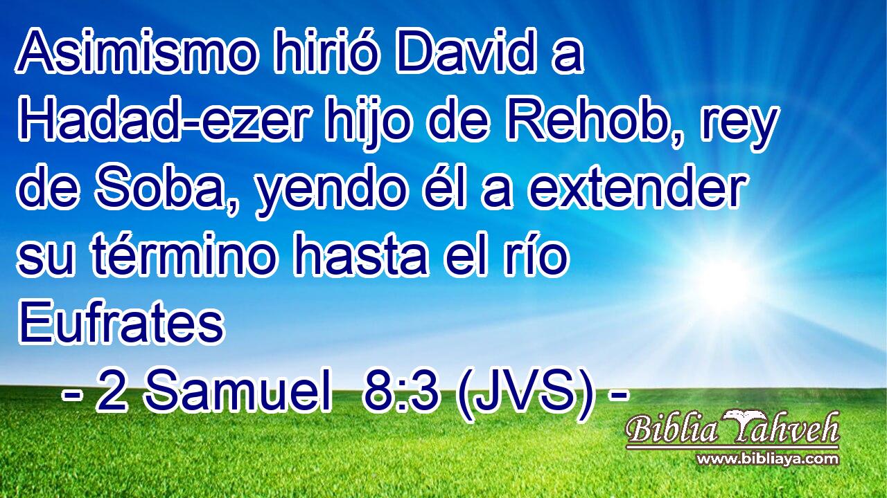 Asimismo hirió David a Hadad-ezer hijo de Rehob, rey de Soba, yendo él a extender su término hasta el río Eufrates