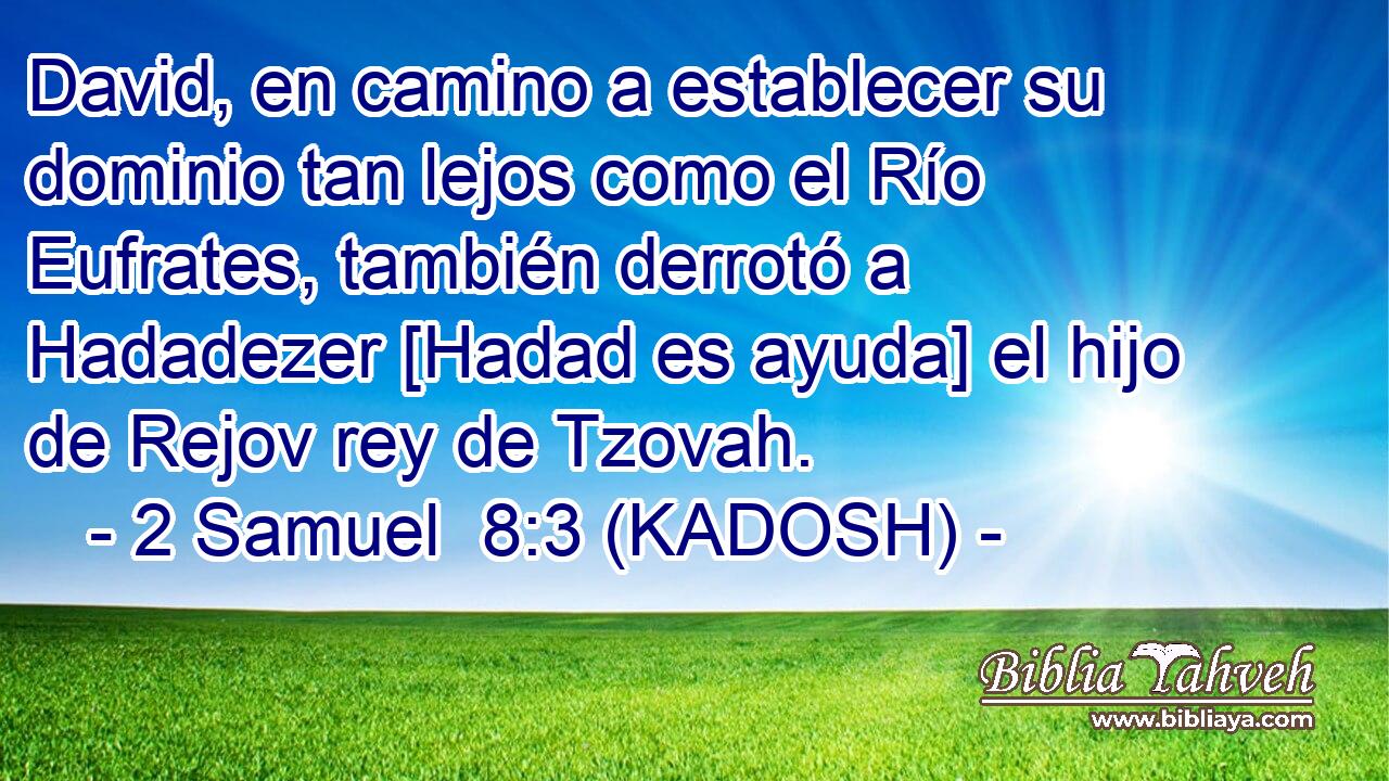  David, en camino a establecer su dominio tan lejos como el Río Eufrates, también derrotó a Hadadezer [Hadad es ayuda] el hijo de Rejov rey de Tzovah. 