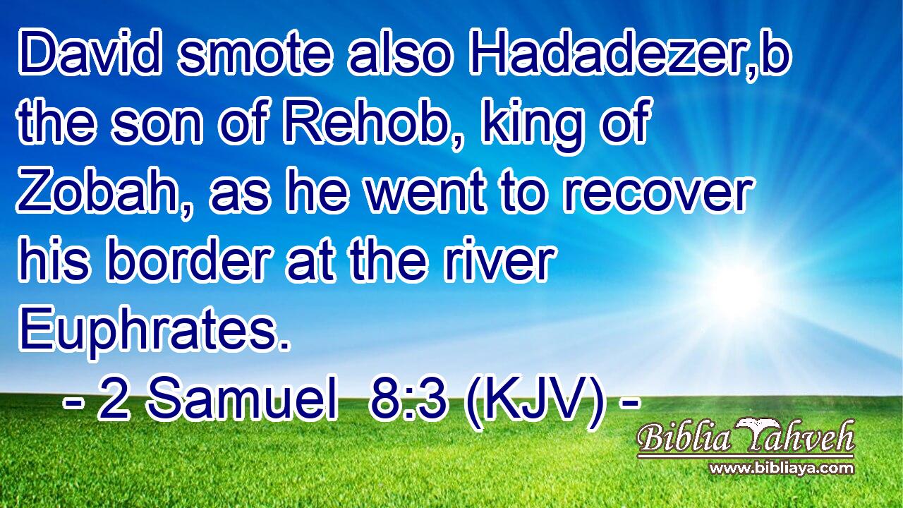 David smote also Hadadezer,b the son of Rehob, king of Zobah, as he went to recover his border at the river Euphrates.