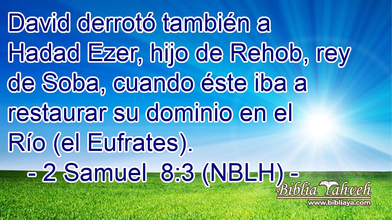 David derrotó también a Hadad Ezer, hijo de Rehob, rey de Soba, cuando éste iba a restaurar su dominio en el Río (el Eufrates). 