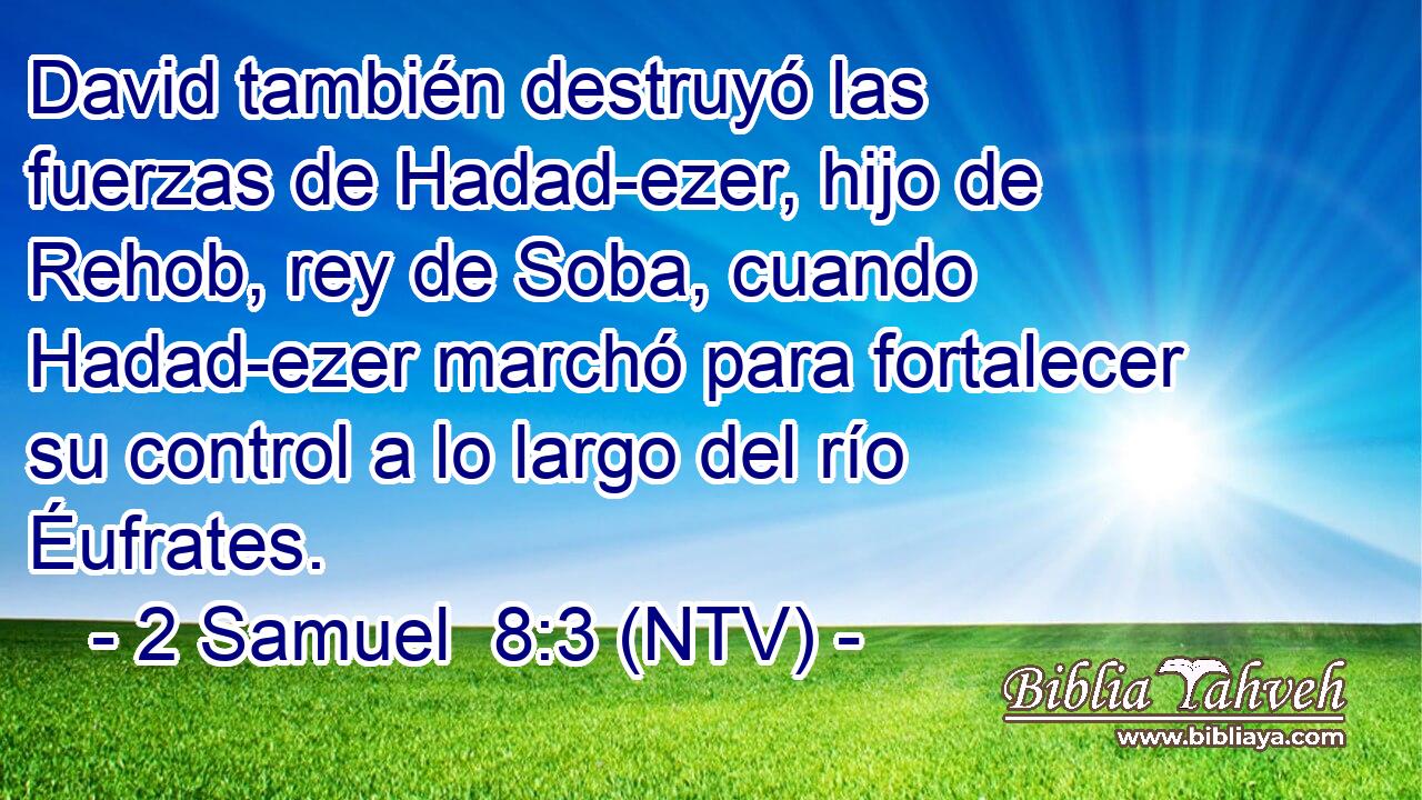 David también destruyó las fuerzas de Hadad-ezer, hijo de Rehob, rey de Soba, cuando Hadad-ezer marchó para fortalecer su control a lo largo del río Éufrates.