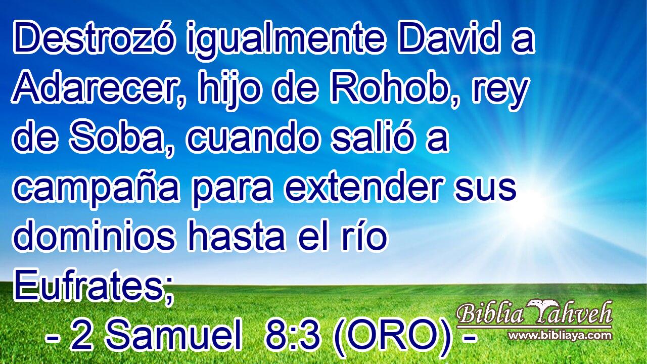  Destrozó igualmente David a Adarecer, hijo de Rohob, rey de Soba, cuando salió a campaña para extender sus dominios hasta el río Eufrates; 