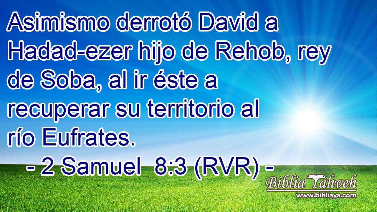 Asimismo derrotó David a Hadad-ezer hijo de Rehob, rey de Soba, al ir éste a recuperar su territorio al río Eufrates.
