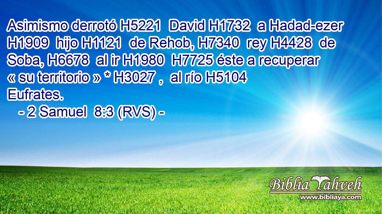 Asimismo derrotó H5221  David H1732  a Hadad-ezer H1909  hijo H1121  de Rehob, H7340  rey H4428  de Soba, H6678  al ir H1980  H7725 éste a recuperar « su territorio » * H3027 ,  al río H5104  Eufrates. 
