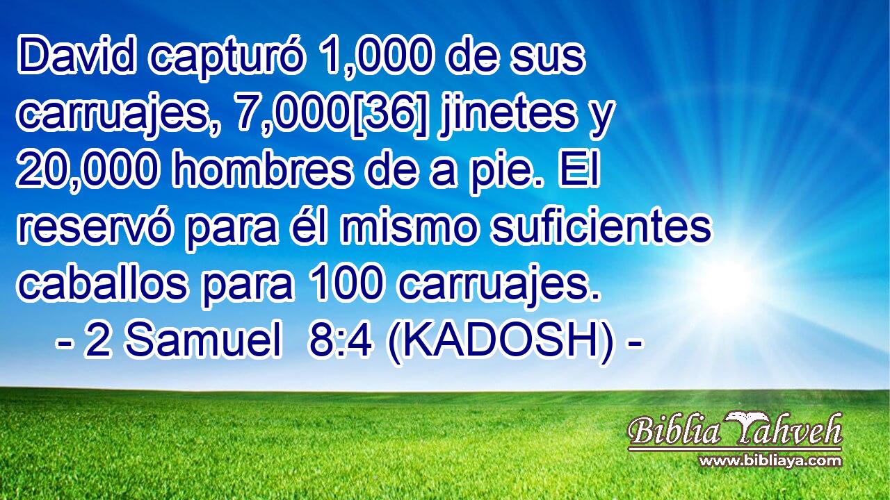  David capturó 1,000 de sus carruajes, 7,000[36] jinetes y 20,000 hombres de a pie. El reservó para él mismo suficientes caballos para 100 carruajes. 