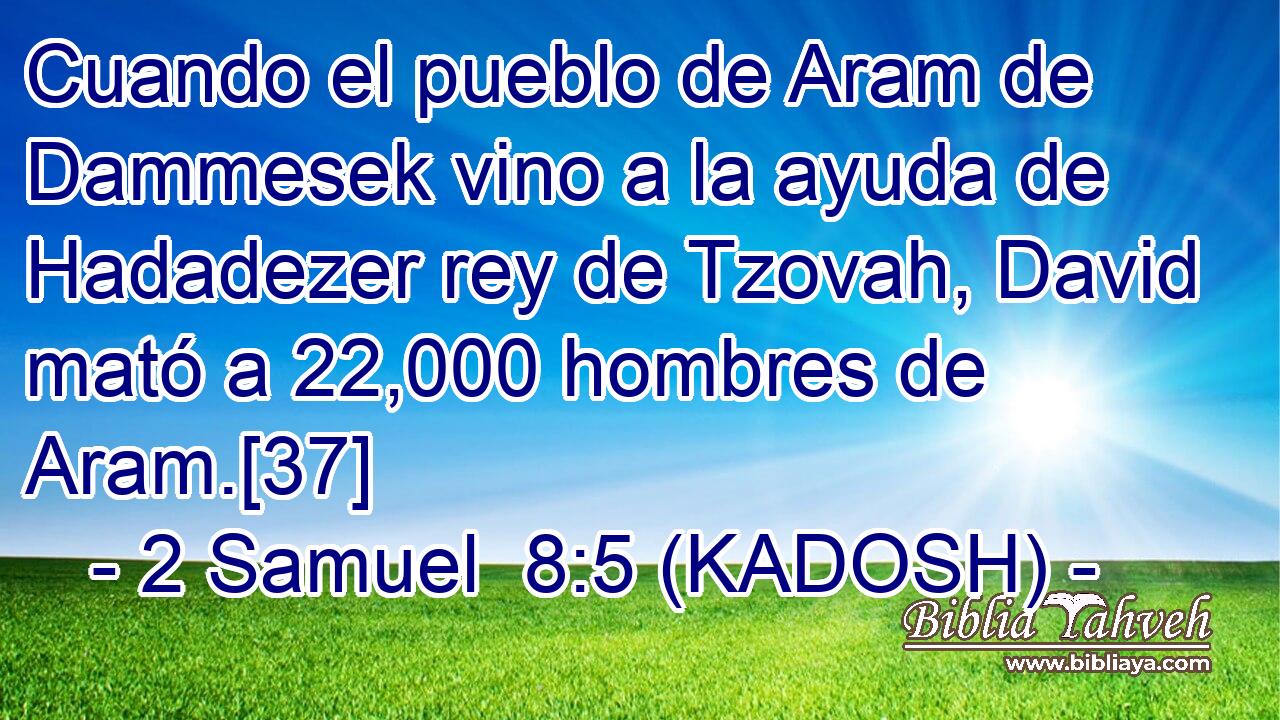  Cuando el pueblo de Aram de Dammesek vino a la ayuda de Hadadezer rey de Tzovah, David mató a 22,000 hombres de Aram.[37] 