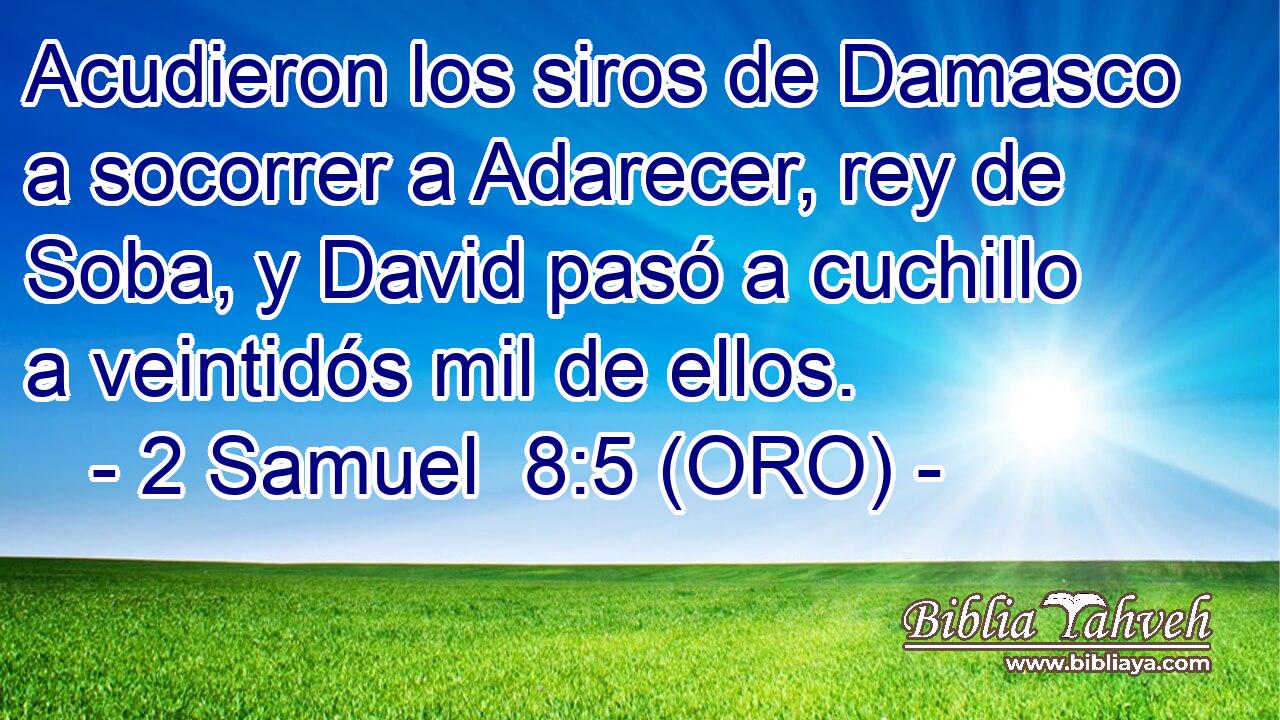  Acudieron los siros de Damasco a socorrer a Adarecer, rey de Soba, y David pasó a cuchillo a veintidós mil de ellos. 