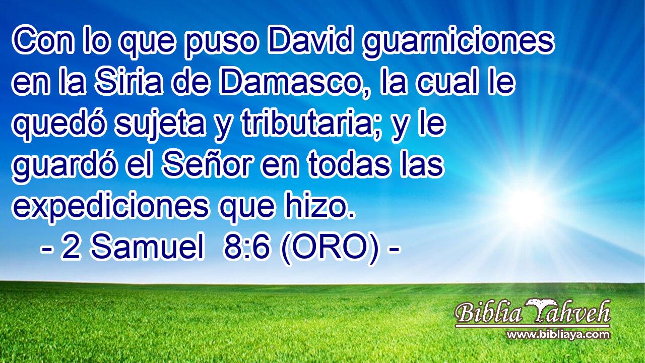  Con lo que puso David guarniciones en la Siria de Damasco, la cual le quedó sujeta y tributaria; y le guardó el Señor en todas las expediciones que hizo. 