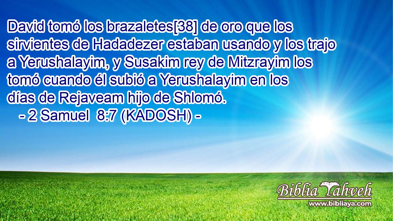  David tomó los brazaletes[38] de oro que los sirvientes de Hadadezer estaban usando y los trajo a Yerushalayim, y Susakim rey de Mitzrayim los tomó cuando él subió a Yerushalayim en los días de Rejaveam hijo de Shlomó. 