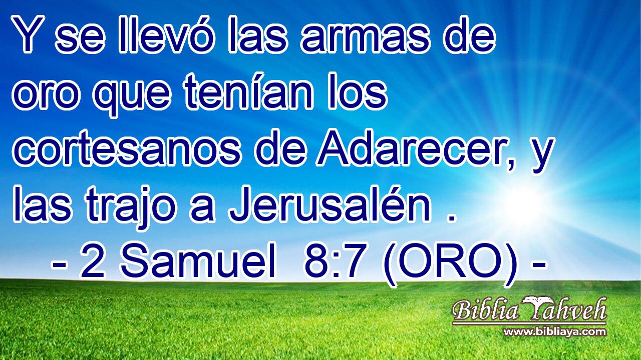  Y se llevó las armas de oro que tenían los cortesanos de Adarecer, y las trajo a Jerusalén . 