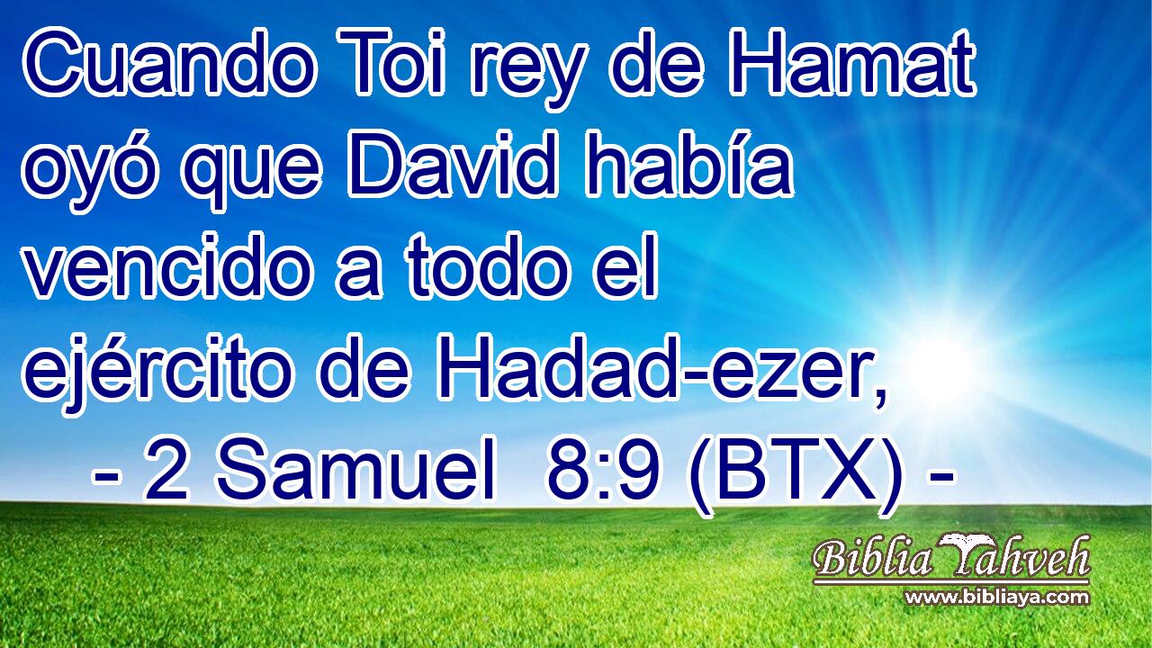 Cuando Toi rey de Hamat oyó que David había vencido a todo el ejército de Hadad-ezer,