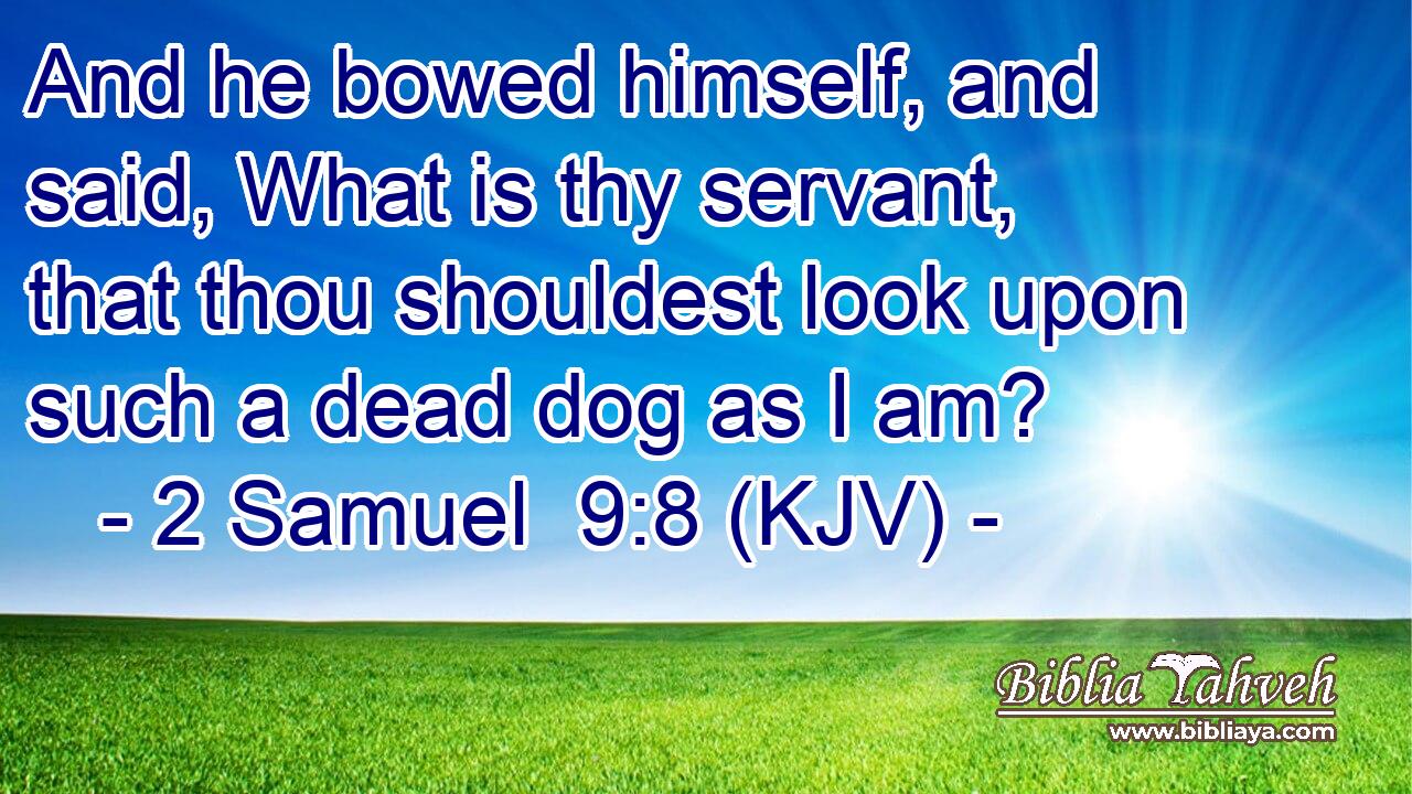 And he bowed himself, and said, What is thy servant, that thou shouldest look upon such a dead dog as I am?