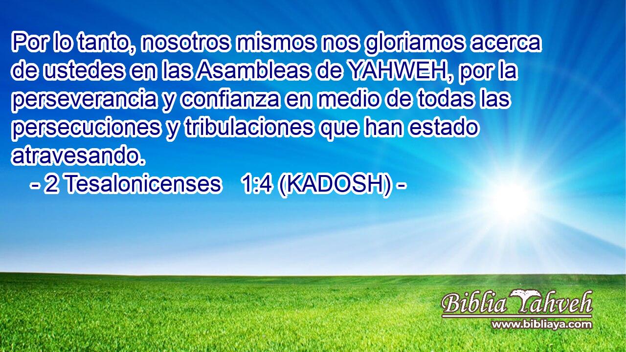  Por lo tanto, nosotros mismos nos gloriamos acerca de ustedes en las Asambleas de YAHWEH, por la perseverancia y confianza en medio de todas las persecuciones y tribulaciones que han estado atravesando. 