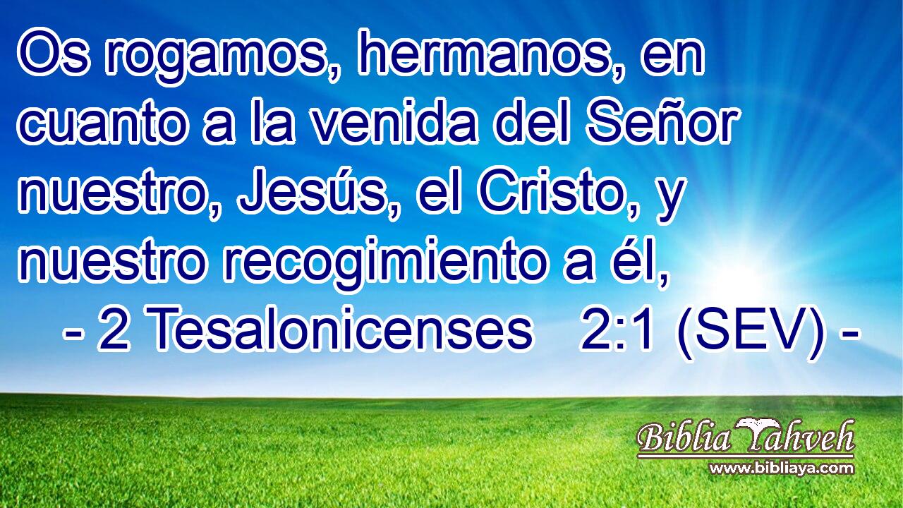 Os rogamos, hermanos, en cuanto a la venida del Señor nuestro, Jesús, el Cristo, y nuestro recogimiento a él,