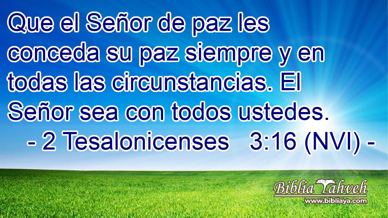  Que el Señor de paz les conceda su paz siempre y en todas las circunstancias. El Señor sea con todos ustedes. 