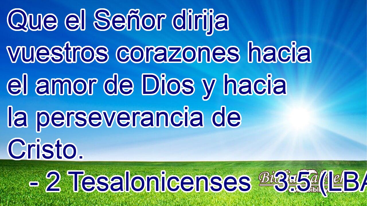 Que el Señor dirija vuestros corazones hacia el amor de Dios y hacia la perseverancia de Cristo.