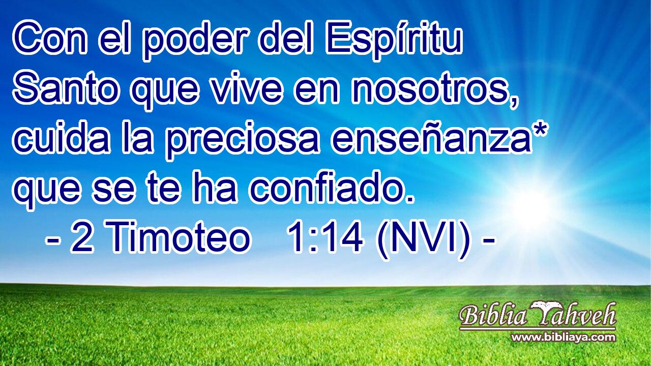  Con el poder del Espíritu Santo que vive en nosotros, cuida la preciosa enseñanza* que se te ha confiado. 