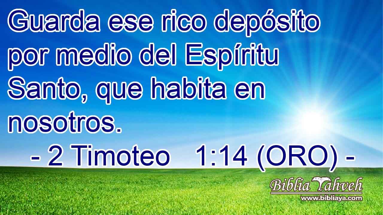  Guarda ese rico depósito por medio del Espíritu Santo, que habita en nosotros. 