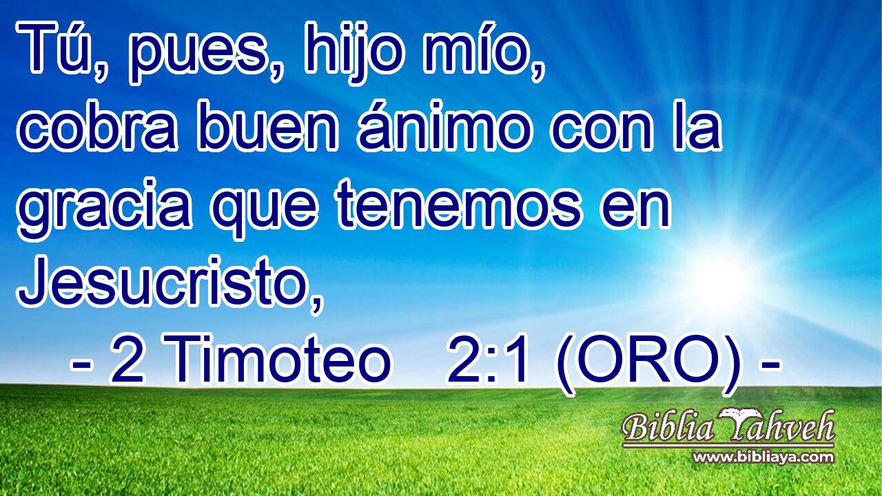  Tú, pues, hijo mío, cobra buen ánimo con la gracia que tenemos en Jesucristo, 