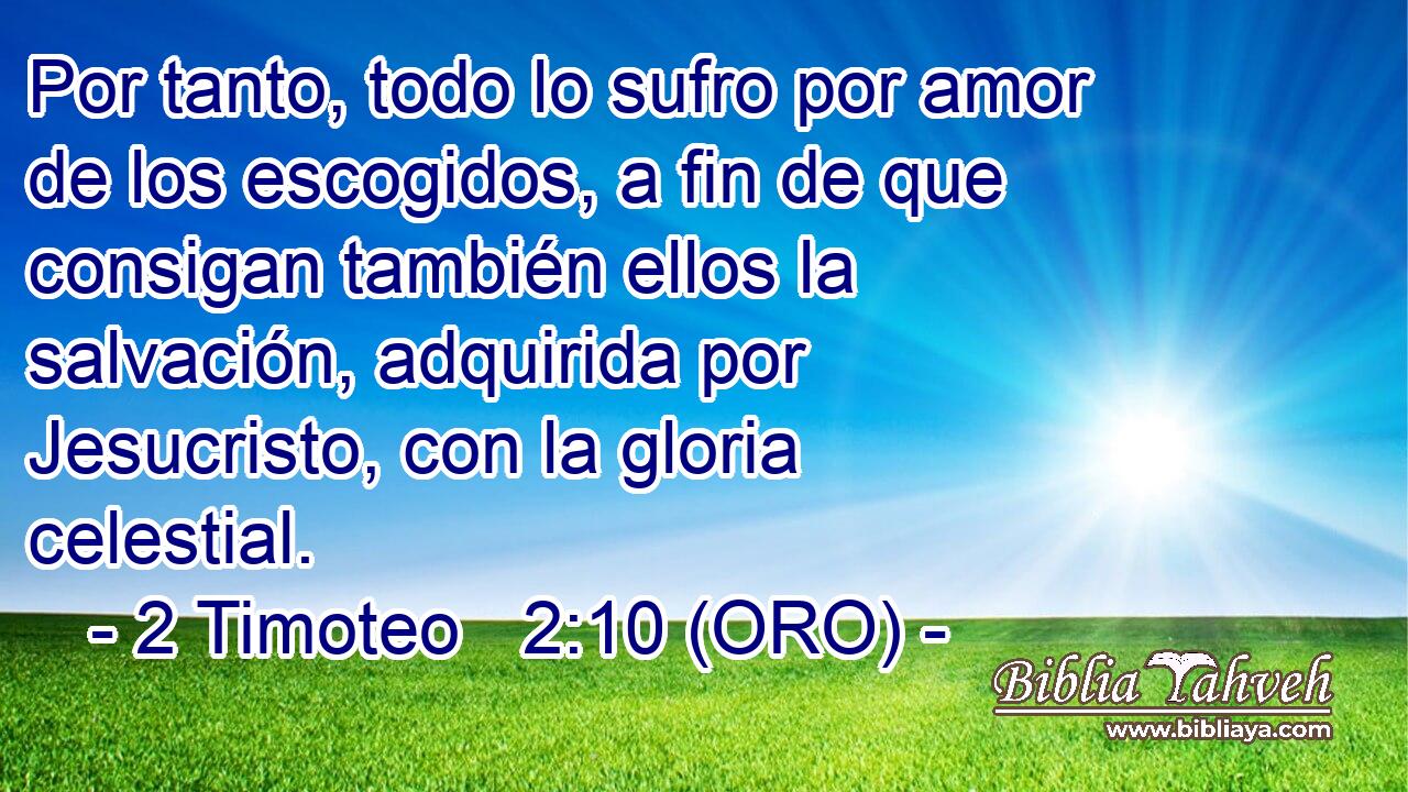  Por tanto, todo lo sufro por amor de los escogidos, a fin de que consigan también ellos la salvación, adquirida por Jesucristo, con la gloria celestial. 