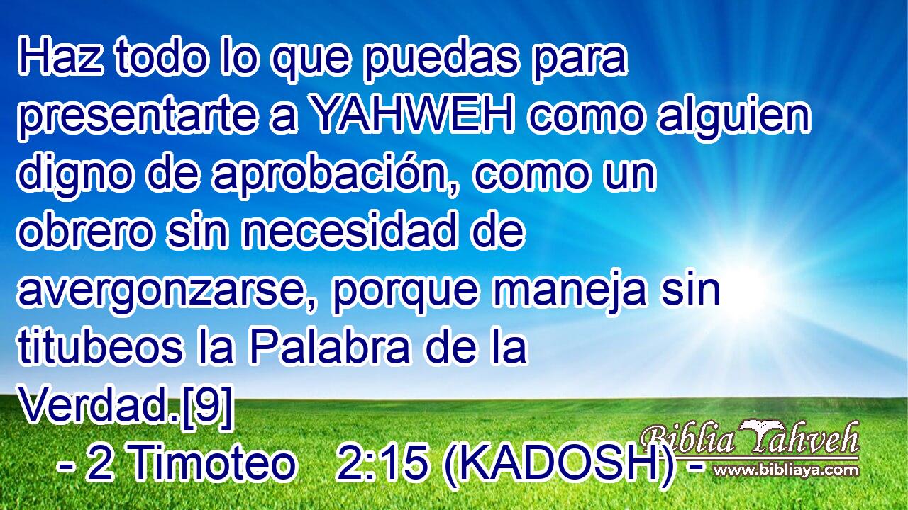  Haz todo lo que puedas para presentarte a YAHWEH como alguien digno de aprobación, como un obrero sin necesidad de avergonzarse, porque maneja sin titubeos la Palabra de la Verdad.[9] 