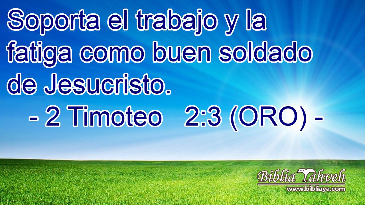  Soporta el trabajo y la fatiga como buen soldado de Jesucristo. 