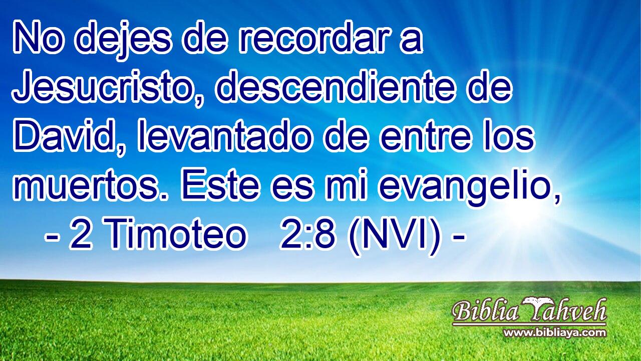  No dejes de recordar a Jesucristo, descendiente de David, levantado de entre los muertos. Este es mi evangelio, 