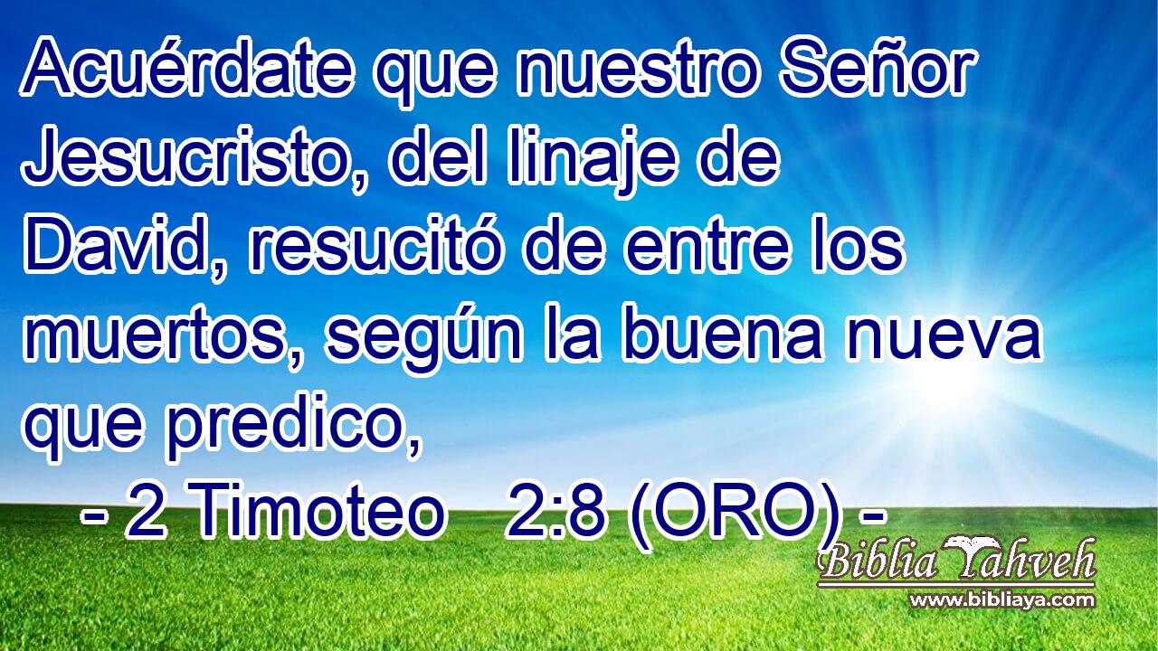  Acuérdate que nuestro Señor Jesucristo, del linaje de David, resucitó de entre los muertos, según la buena nueva que predico, 