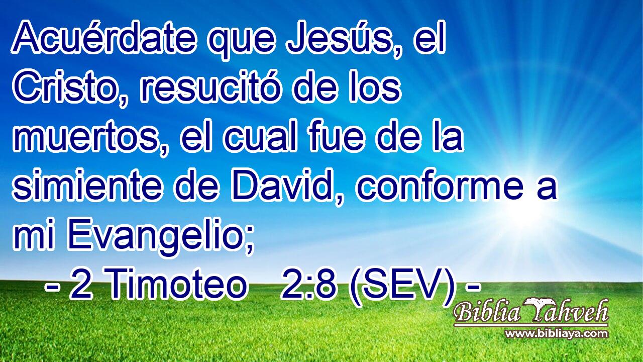 Acuérdate que Jesús, el Cristo, resucitó de los muertos, el cual fue de la simiente de David, conforme a mi Evangelio;