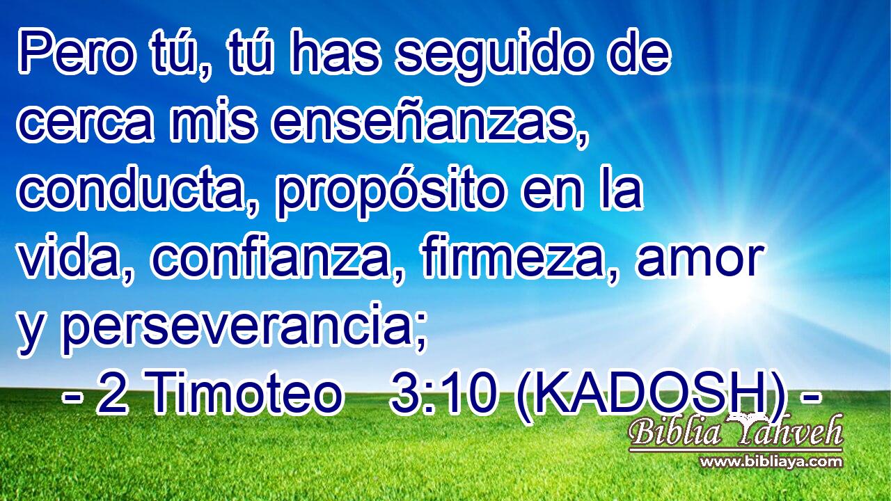  Pero tú, tú has seguido de cerca mis enseñanzas, conducta, propósito en la vida, confianza, firmeza, amor y perseverancia; 