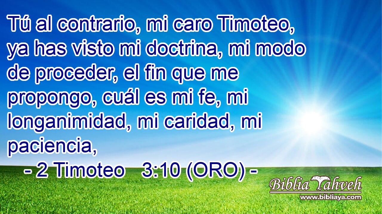  Tú al contrario, mi caro Timoteo, ya has visto mi doctrina, mi modo de proceder, el fin que me propongo, cuál es mi fe, mi longanimidad, mi caridad, mi paciencia, 