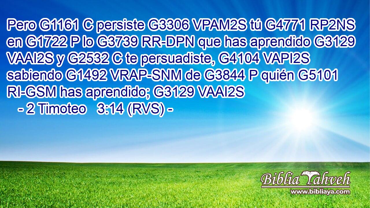 Pero G1161 C persiste G3306 VPAM2S tú G4771 RP2NS en G1722 P lo G3739 RR-DPN que has aprendido G3129 VAAI2S y G2532 C te persuadiste, G4104 VAPI2S sabiendo G1492 VRAP-SNM de G3844 P quién G5101 RI-GSM has aprendido; G3129 VAAI2S 