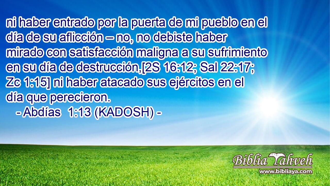  ni haber entrado por la puerta de mi pueblo en el día de su aflicción – no, no debiste haber mirado con satisfacción maligna a su sufrimiento en su día de destrucción,[2S 16:12; Sal 22:17; Zc 1:15] ni haber atacado sus ejércitos en el día que perecieron. 