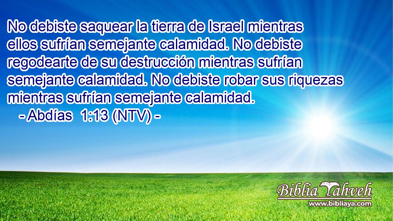 No debiste saquear la tierra de Israel mientras ellos sufrían semejante calamidad. No debiste regodearte de su destrucción mientras sufrían semejante calamidad. No debiste robar sus riquezas mientras sufrían semejante calamidad.