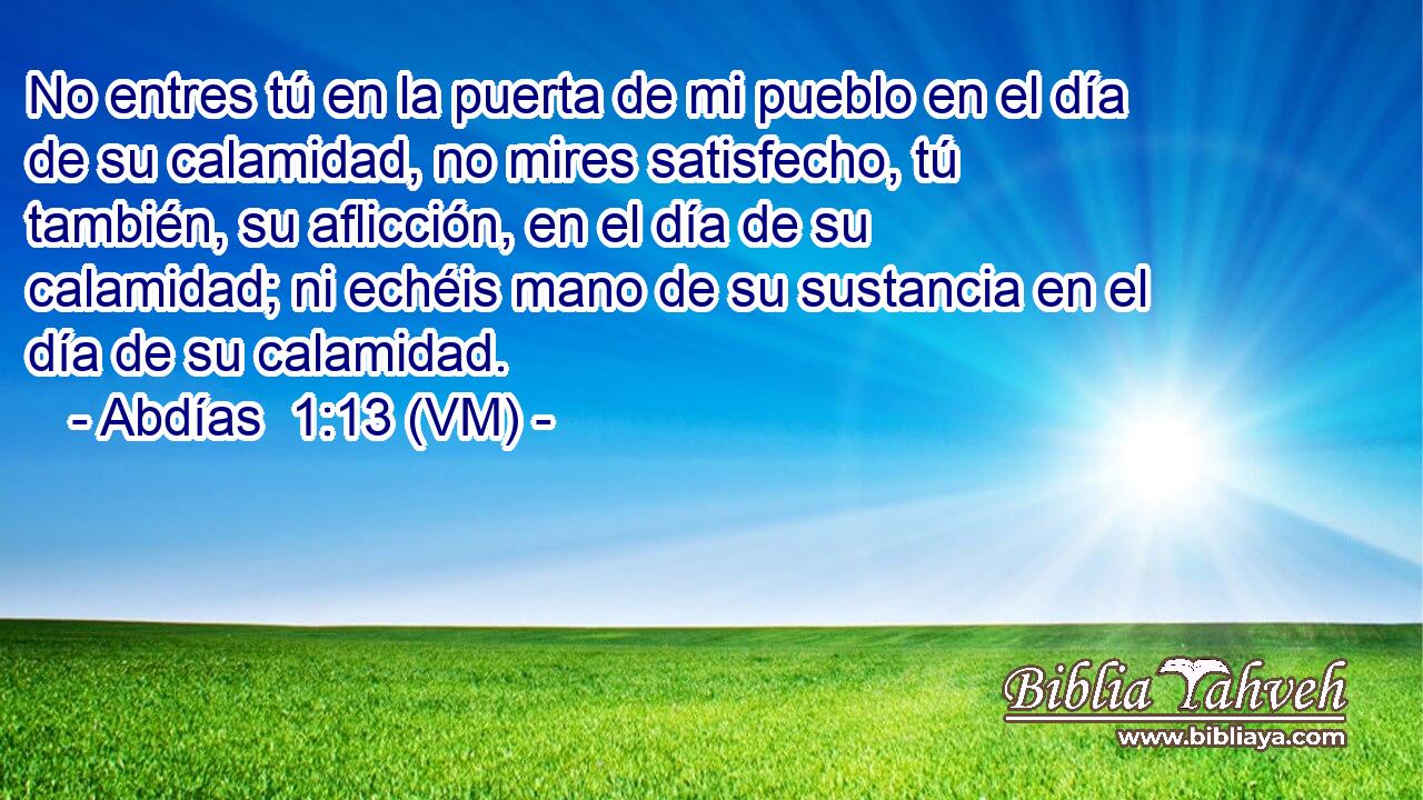  No entres tú en la puerta de mi pueblo en el día de su calamidad, no mires satisfecho, tú también, su aflicción, en el día de su calamidad; ni echéis mano de su sustancia en el día de su calamidad. 