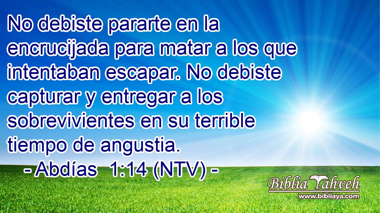 No debiste pararte en la encrucijada para matar a los que intentaban escapar. No debiste capturar y entregar a los sobrevivientes en su terrible tiempo de angustia.