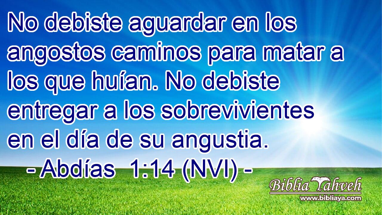  No debiste aguardar en los angostos caminos para matar a los que huían. No debiste entregar a los sobrevivientes en el día de su angustia. 