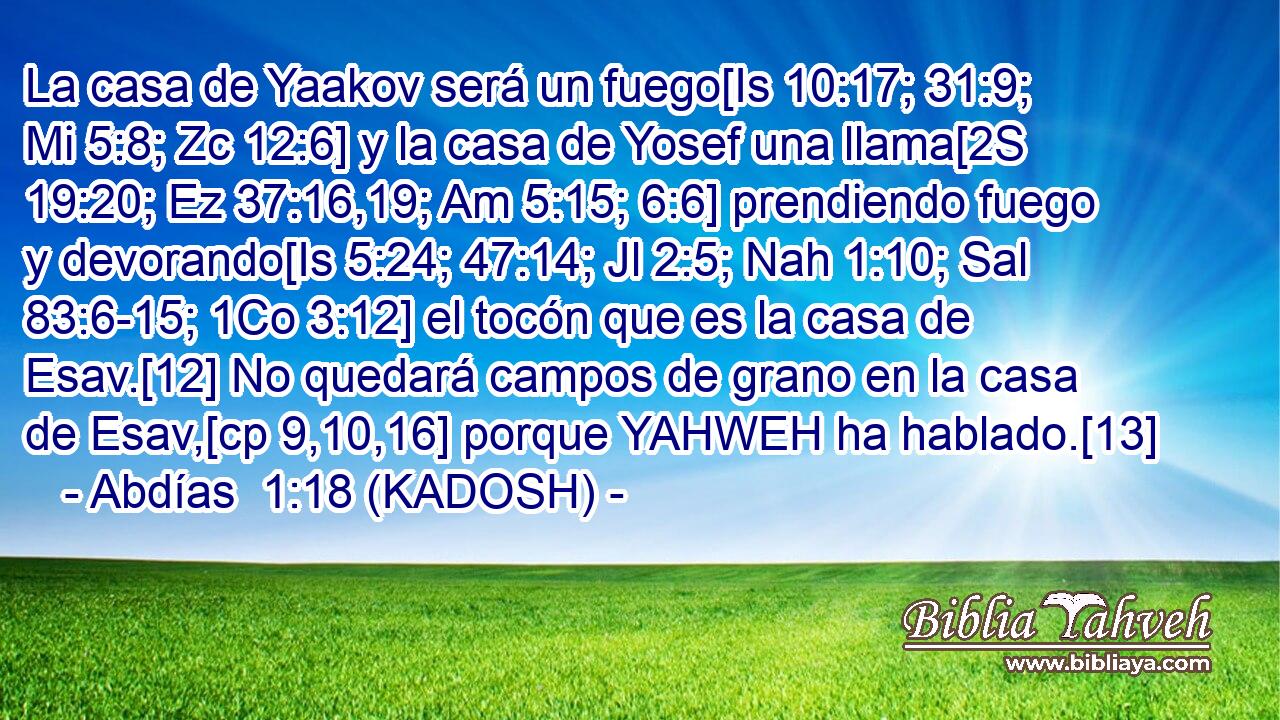  La casa de Yaakov será un fuego[Is 10:17; 31:9; Mi 5:8; Zc 12:6] y la casa de Yosef una llama[2S 19:20; Ez 37:16,19; Am 5:15; 6:6] prendiendo fuego y devorando[Is 5:24; 47:14; Jl 2:5; Nah 1:10; Sal 83:6-15; 1Co 3:12] el tocón que es la casa de Esav.[12] No quedará campos de grano en la casa de Esav,[cp 9,10,16] porque YAHWEH ha hablado.[13] 