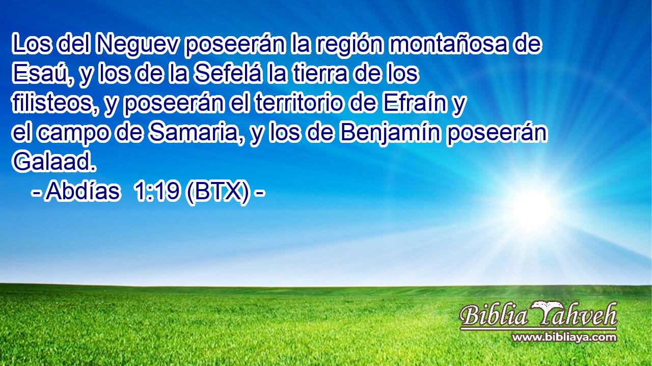 Los del Neguev poseerán la región montañosa de Esaú, y los de la Sefelá la tierra de los filisteos, y poseerán el territorio de Efraín y el campo de Samaria, y los de Benjamín poseerán Galaad.