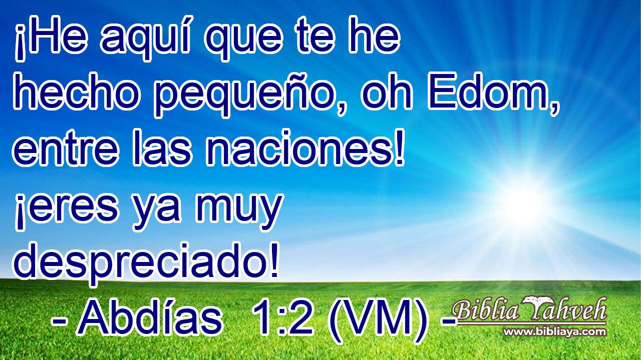  ¡He aquí que te he hecho pequeño, oh Edom, entre las naciones! ¡eres ya muy despreciado! 
