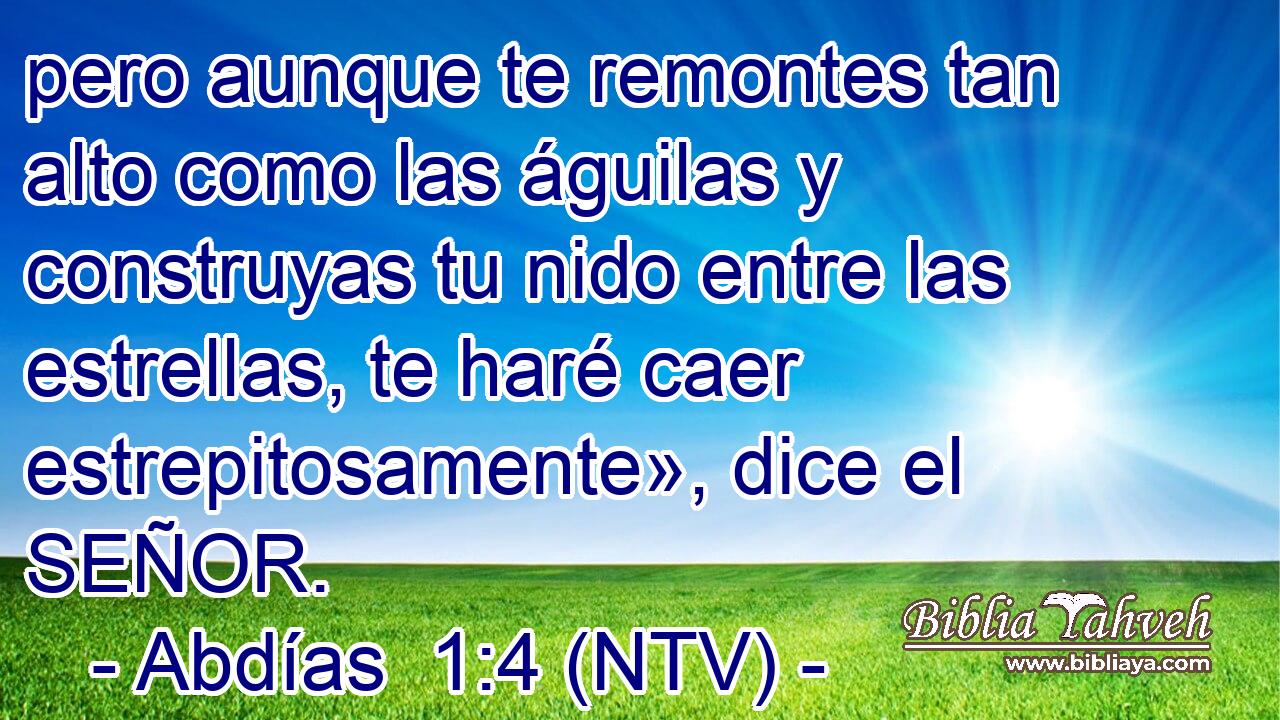 pero aunque te remontes tan alto como las águilas y construyas tu nido entre las estrellas, te haré caer estrepitosamente», dice el SEÑOR.