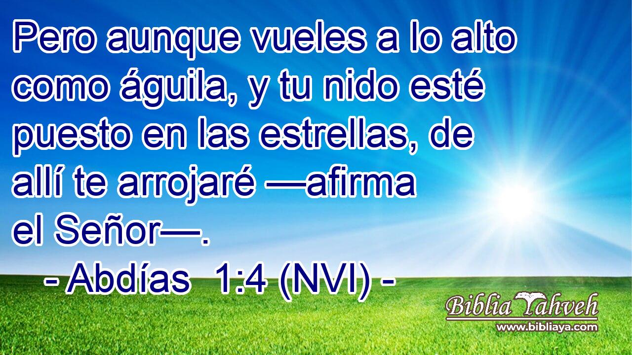  Pero aunque vueles a lo alto como águila, y tu nido esté puesto en las estrellas, de allí te arrojaré —afirma el Señor—. 