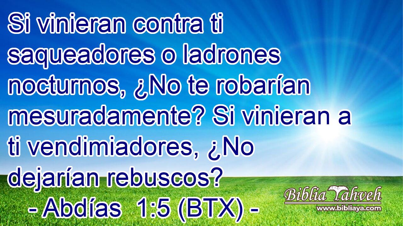 Si vinieran contra ti saqueadores o ladrones nocturnos, ¿No te robarían mesuradamente? Si vinieran a ti vendimiadores, ¿No dejarían rebuscos?