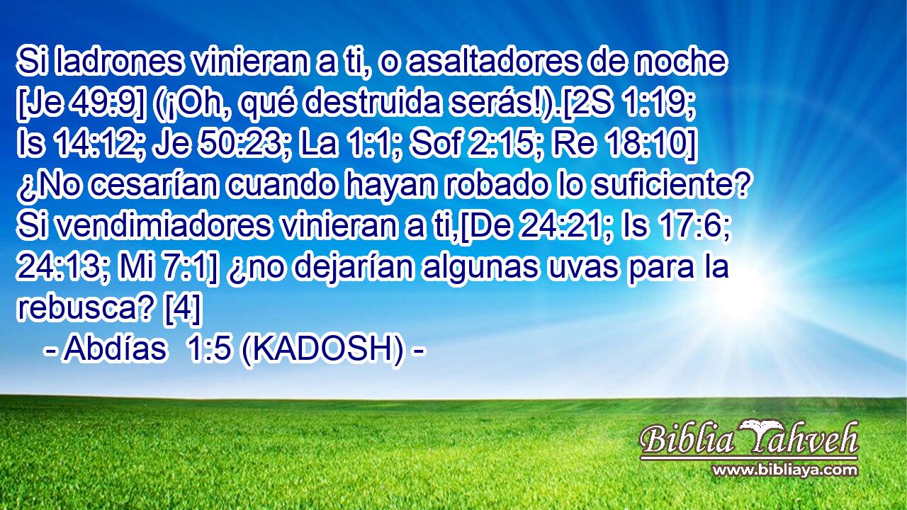  Si ladrones vinieran a ti, o asaltadores de noche [Je 49:9] (¡Oh, qué destruida serás!).[2S 1:19; Is 14:12; Je 50:23; La 1:1; Sof 2:15; Re 18:10] ¿No cesarían cuando hayan robado lo suficiente? Si vendimiadores vinieran a ti,[De 24:21; Is 17:6; 24:13; Mi 7:1] ¿no dejarían algunas uvas para la rebusca? [4] 
