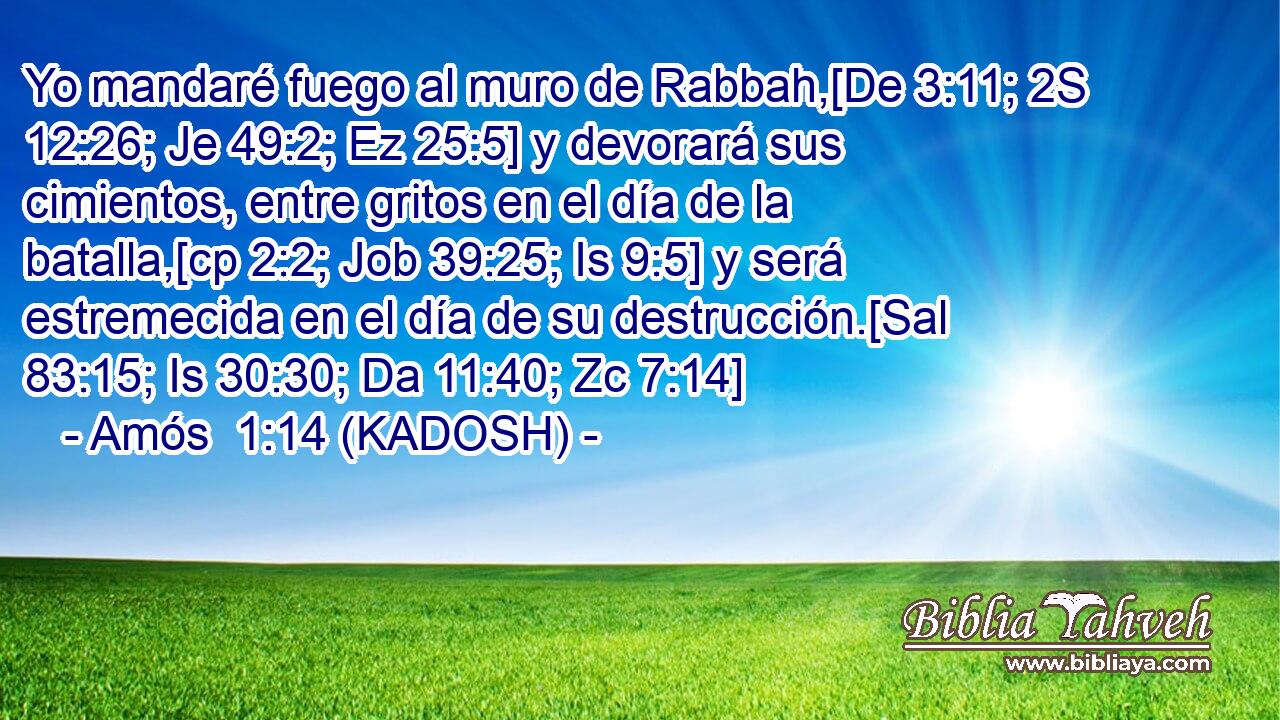  Yo mandaré fuego al muro de Rabbah,[De 3:11; 2S 12:26; Je 49:2; Ez 25:5] y devorará sus cimientos, entre gritos en el día de la batalla,[cp 2:2; Job 39:25; Is 9:5] y será estremecida en el día de su destrucción.[Sal 83:15; Is 30:30; Da 11:40; Zc 7:14] 